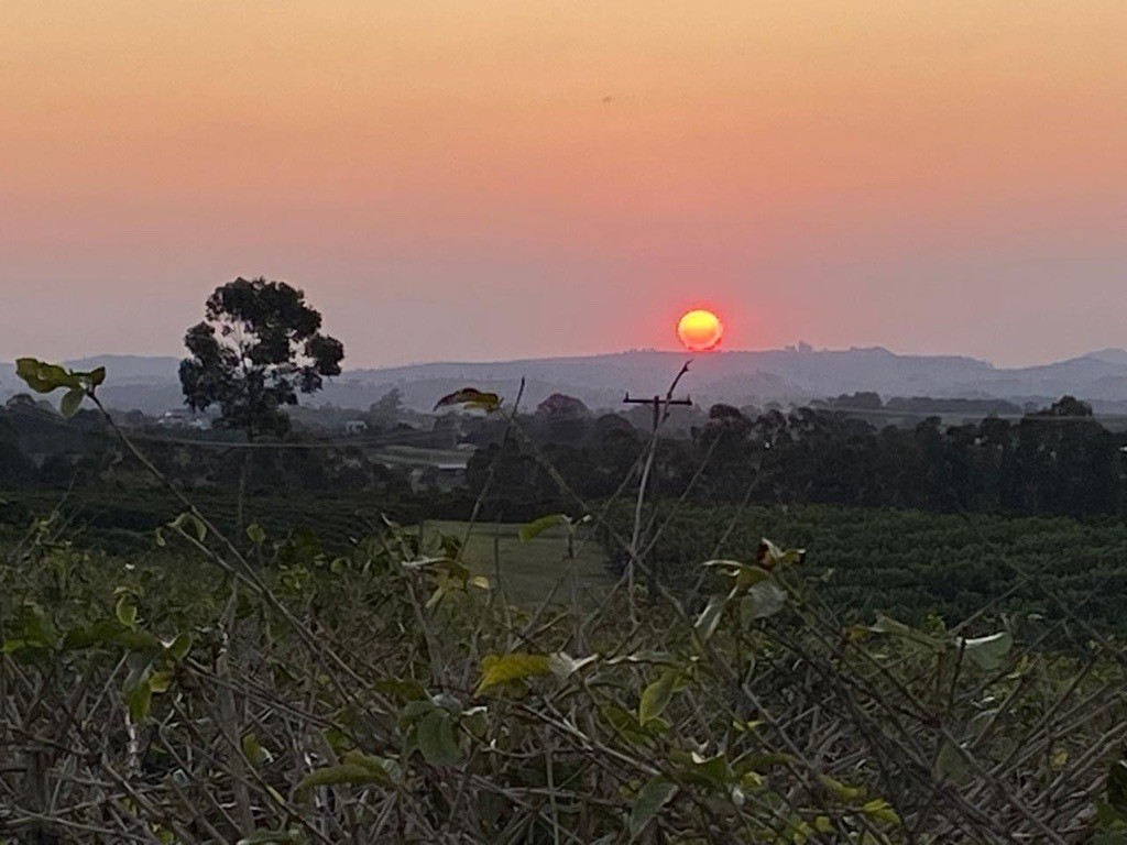 Produtor de soja precisa  aguardar um momento mais prop&iacute;cio para iniciar a semeadura, alerta a Cocamar