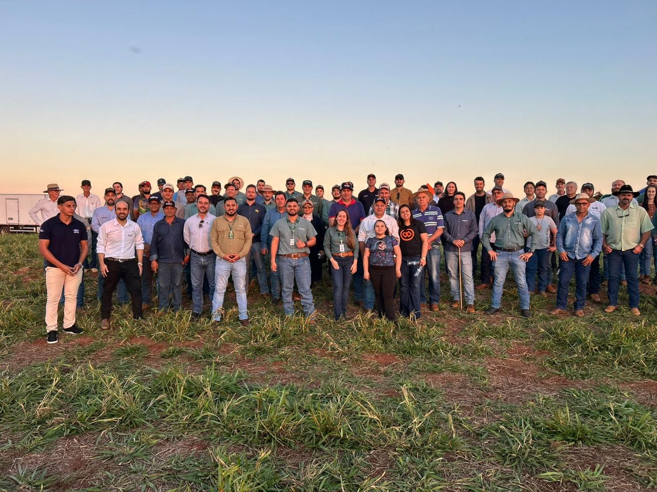 2&ordm; Dia de Campo sobre ILP movimenta  produtores e t&eacute;cnicos em Ivinhema (MS)