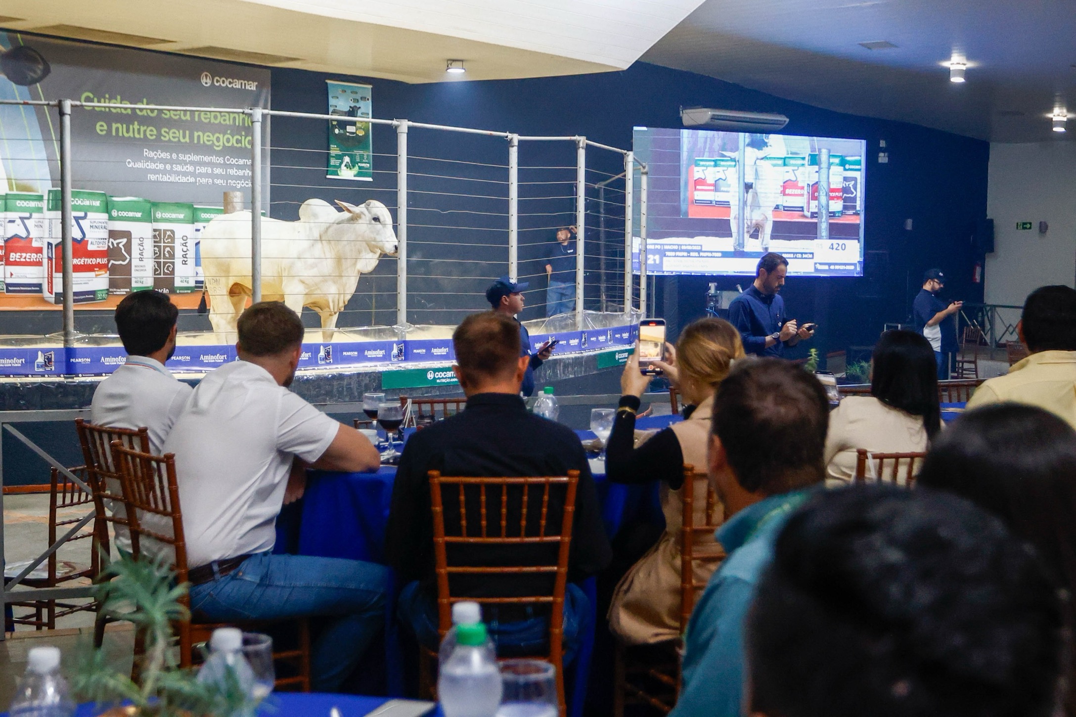 Expoing&aacute;: na Prova de Ganho de Peso, animais engordam 1,7 quilo/dia, em m&eacute;dia