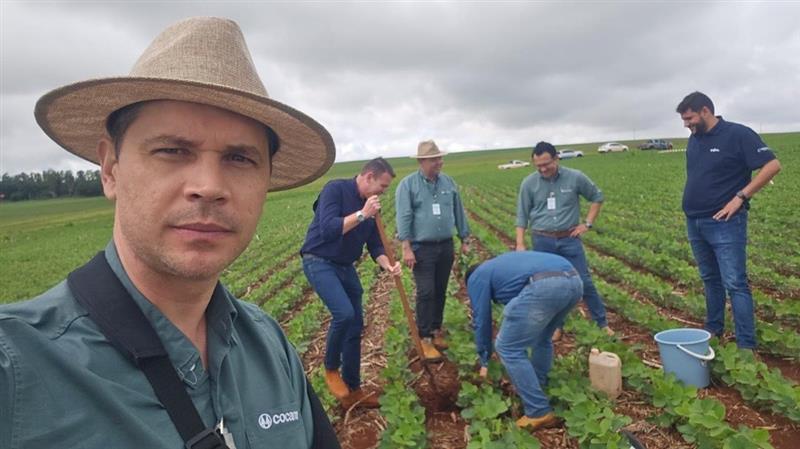 Compara&ccedil;&atilde;o do solo e excesso de umidade causam �morredeira� de soja