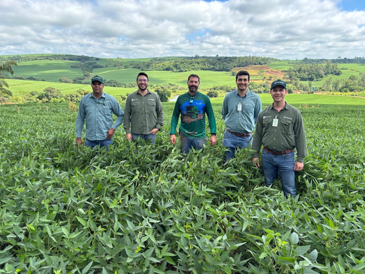 Na regi&atilde;o norte, potencial  das lavouras &eacute; alto, mas adversidades deixaram marcas