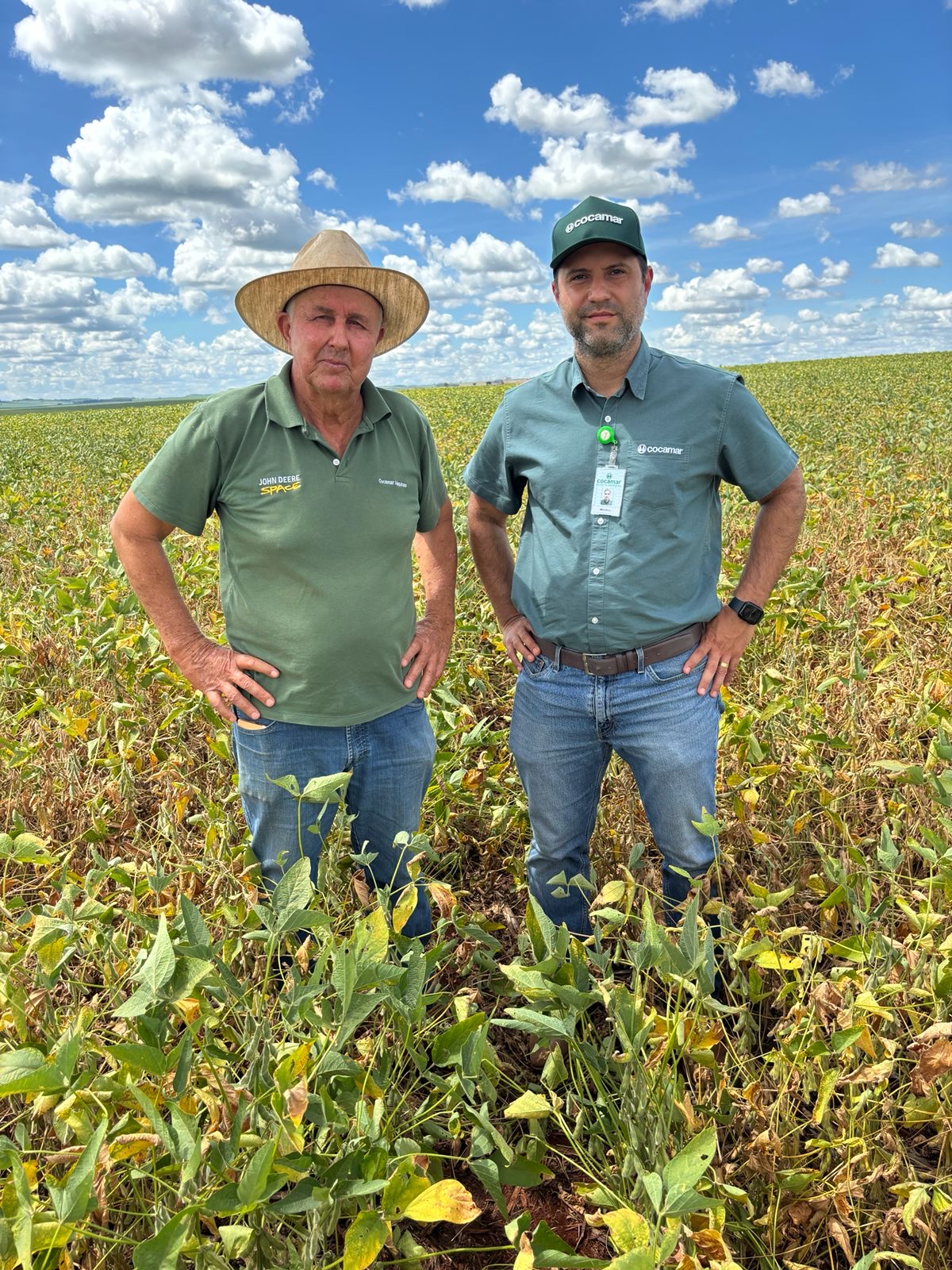 Manejo adequado do solo faz a diferen&ccedil;a em ano de clima complicado 