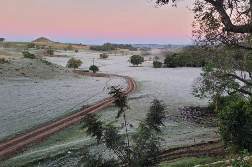 Intensidade do frio afeta lavouras de milho e trigo  