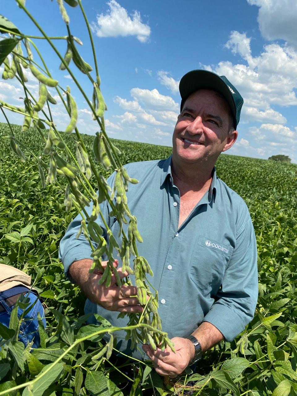Soja mantida em ILP, no areião,  indica boa produtividade 