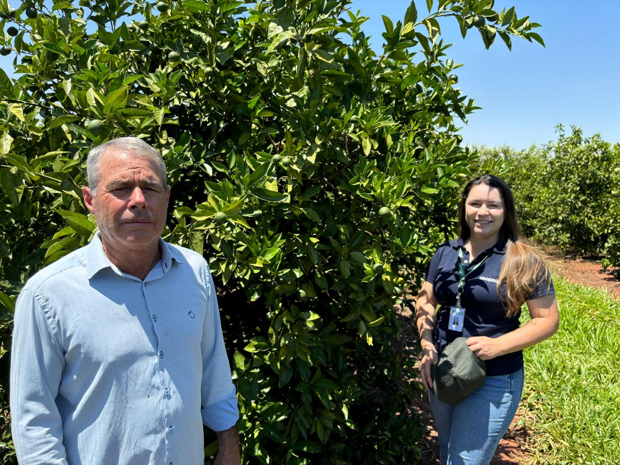 Mercado solidário é fundamental para a sobrevivência dos pequenos produtores de laranja  