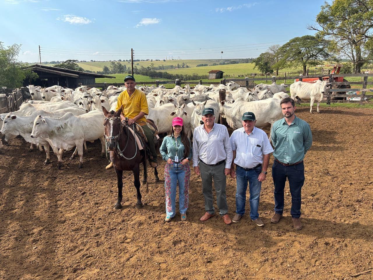 Vale Da Cegonha, Um Berço De Campeões.