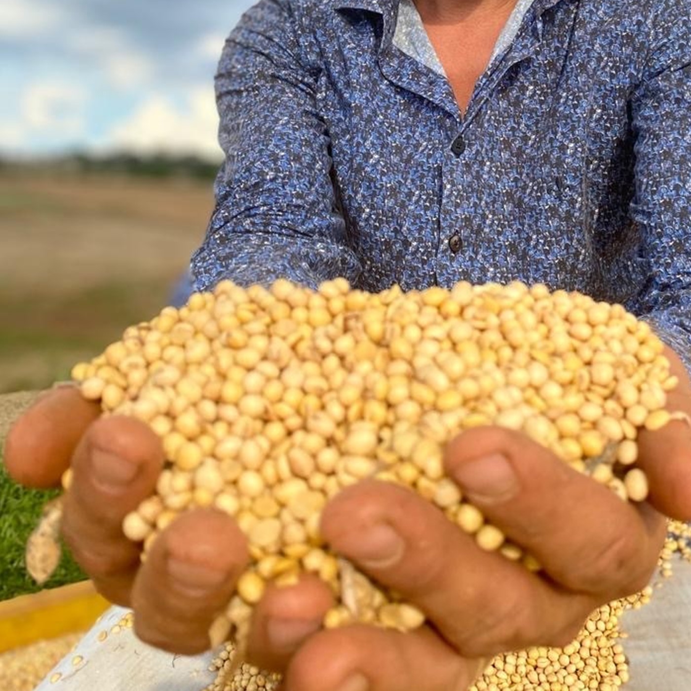 Vencedores de prêmios de produtividade vão ser conhecidos na sexta-feira 