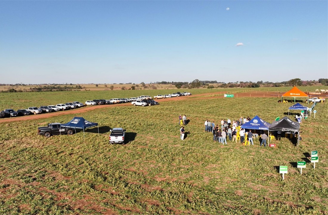 Cocamar oferece em Ivinhema (MS) um atendimento completo aos produtores