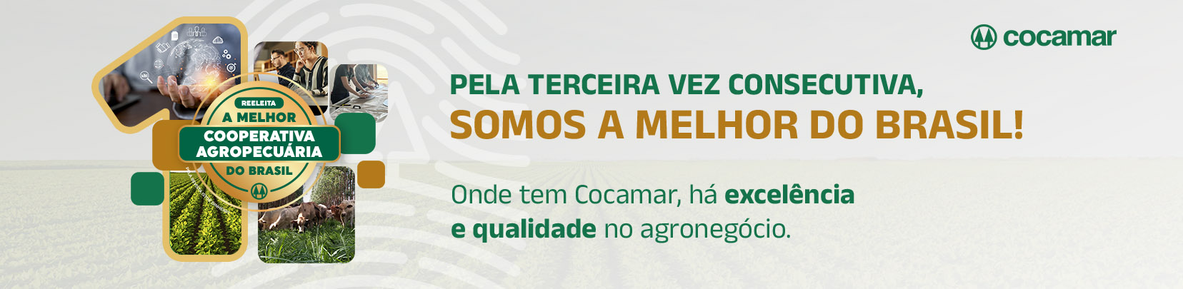 A Melhor Cooperativa Agropecuária do Brasil