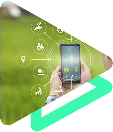 Consultoria Técnica