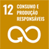 Consumo e Produção Responsáveis