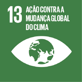 13 - Ação Contra a Mudança Global do Clima